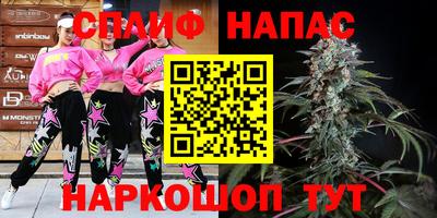 гидра Беслан