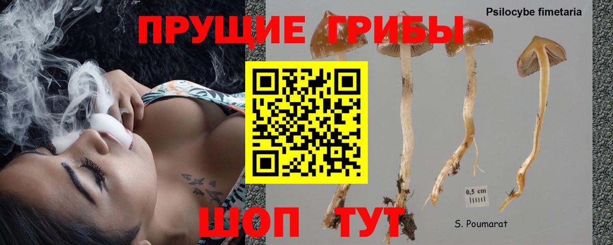 Галлюциногенные грибы Magic Shrooms  Галлюциногенные грибы мицелий  Вход с VPN  Еманжелинск 